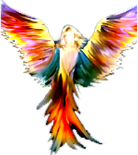 Melek ajandas� Jenny Smedley