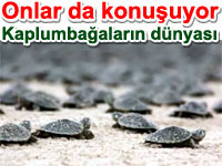 Yavrular�yla konu�an kaplumba�alar