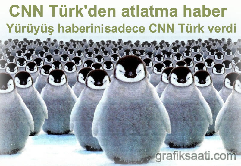 CNN T�rk b�y�k penguen y�r�y�s�