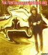 Tevfik Eliolu Syd Barrett Grafii