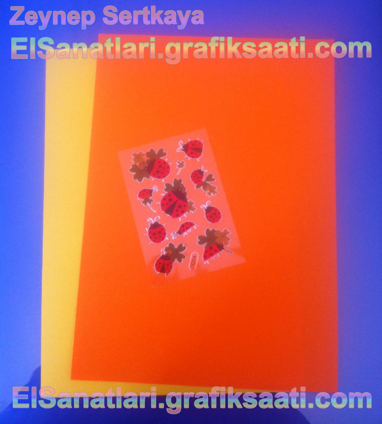 Diyet Motivasyonunu Artt�rmak ��in Bir Gerid�n���m Projesi